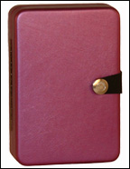 Designer blackberry case